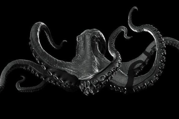 Kraken site