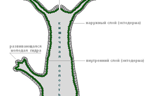 Ссылка на кракен даркнет